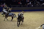 Quadrille - 00745